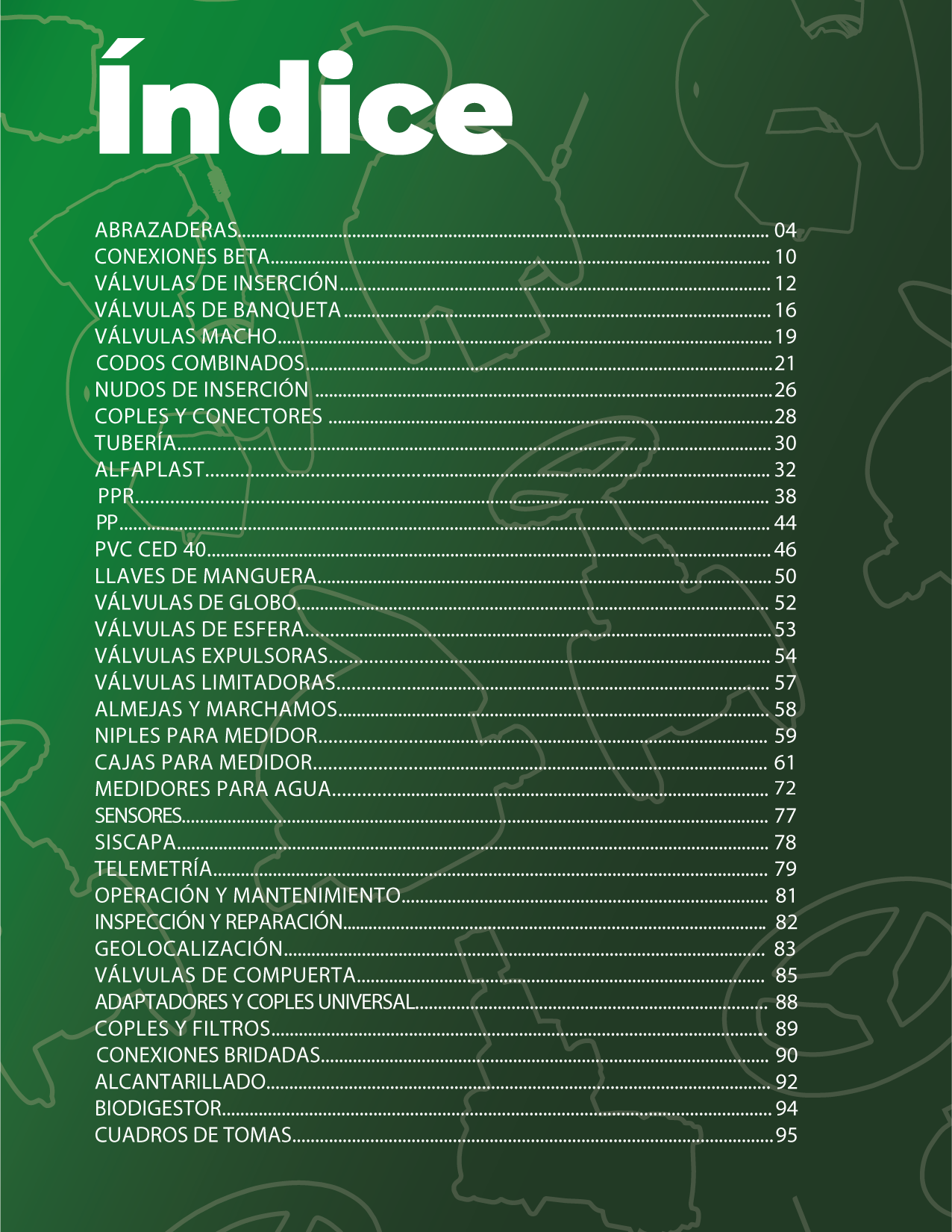 Página 5